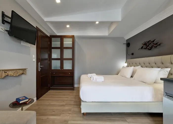 Apartment Nival Luxury Chania (Crete)